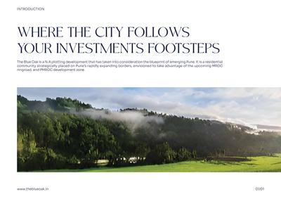 The Blue Oak Brochure 6