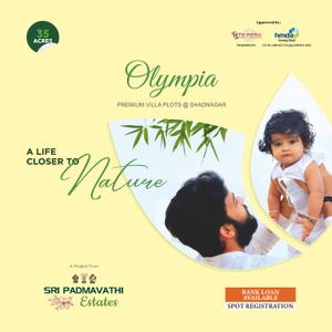 OLYMPIA Brochure 1