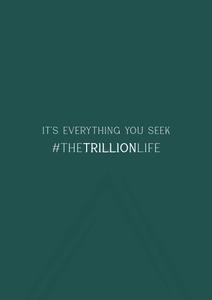 Experion The Trillion Brochure 59