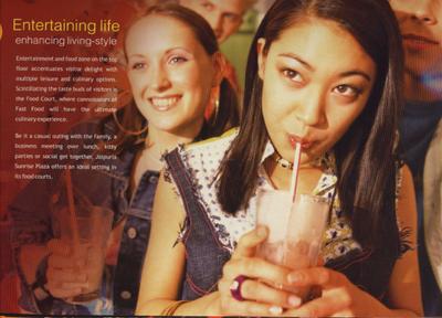 Jaipuria Sunrise Plaza Brochure 15