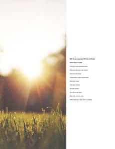 BBCL Breeze Residences Brochure 41