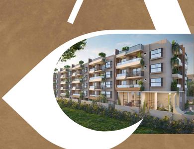 Axis Amarissa Brochure 4
