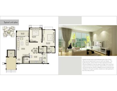 Ozone Silver Ozone Brochure 6