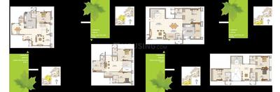 HM Tropical Tree Brochure 17