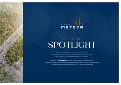 Silver Meteor Brochure 6