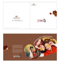 Sanjeevini Pebbles Brochure 1