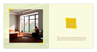 Anmol Gold Brochure 6