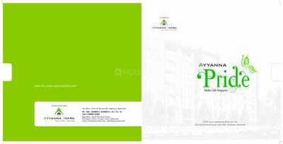 Ayyanna Pride Brochure 9