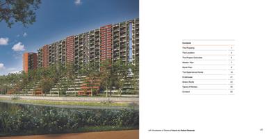 Total Environment Pursuit Of A Radical Rhapsody  Brochure 5