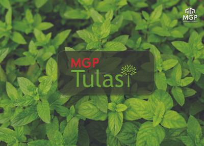 MGP Tulasi Brochure 1
