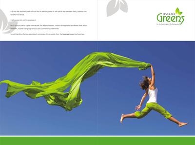 Leverage Greens D Brochure 2
