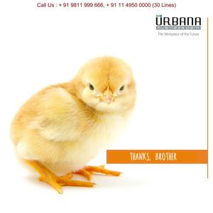 M3M Urbana Business Park Brochure 11