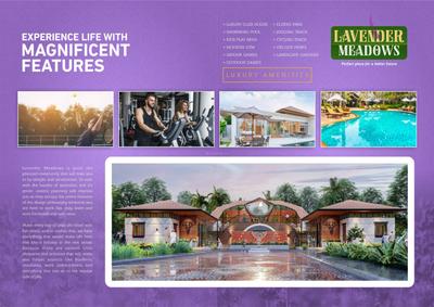 Terrafem Lavender Meadows Brochure 6