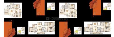 HM Tropical Tree Brochure 19