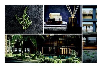 KOA Canvas Brochure 28