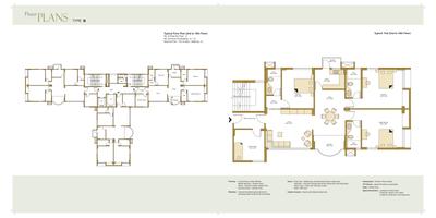 Avidipta Brochure 14