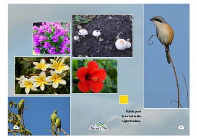 Image of 3602 Sq.ft Residential Plot / Land for sale in KPS Farmville, Tillor Khurd, Indore for Rs. 10000000