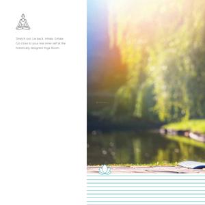 Pristine Prolife III Brochure 6