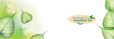 DPL Nature Retreat Brochure 2