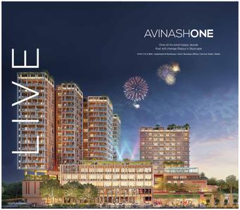 Avinash One Brochure 6