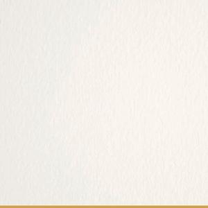Sudarshan Foresta Brochure 2