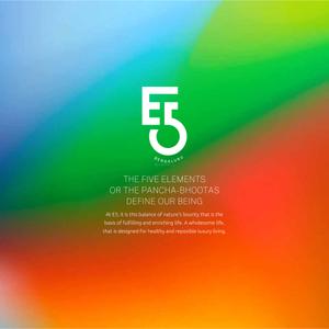Preeti Elements 5 Brochure 3