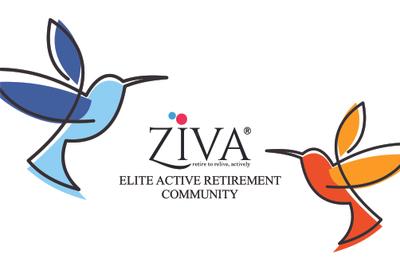 Arun Excello Ziva Charukesi Brochure 1