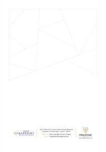 Vinayak Sapphire Brochure 12