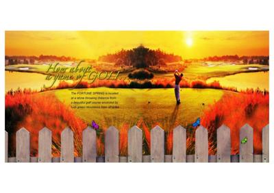 Fortune Springs Brochure 5