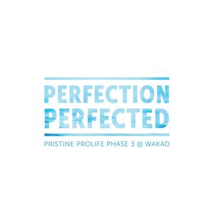 Pristine Prolife III Brochure 1