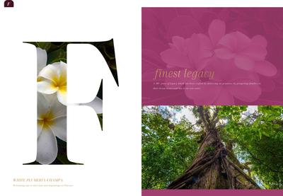 Agarwal Florence Brochure 3