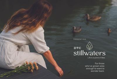DTC Still Waters Brochure 7