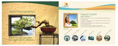 Daffodil Waterfront Brochure 5