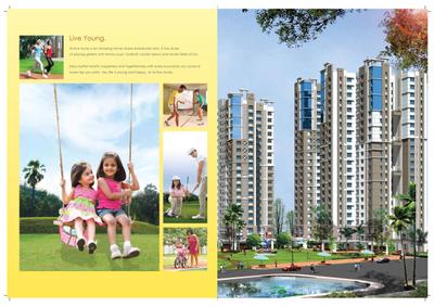 Active Acres Brochure 4