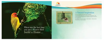 Daffodil Waterfront Brochure 6