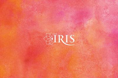Image of 600 Sq.ft 1 BHK Apartment / Flat for sale in Bhandari BA Iris, Wagholi, Pune for Rs. 4300000