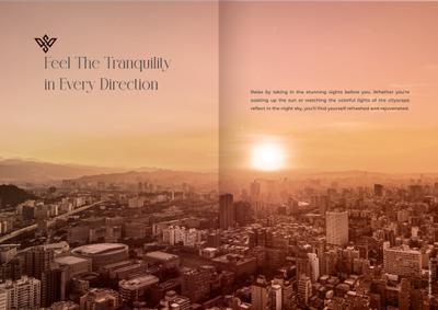Dem Phoenix Brochure 3