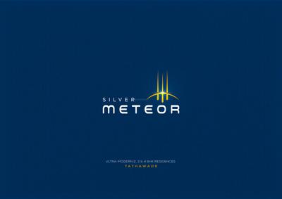 Silver Meteor Brochure 2