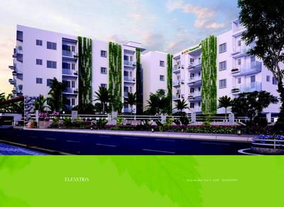 Alps Pleasanton Brochure 3