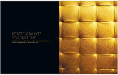 PS Aurus Brochure 21