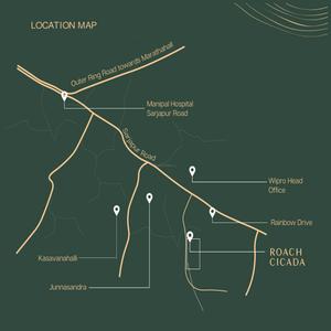 Roach Cicada Brochure 9