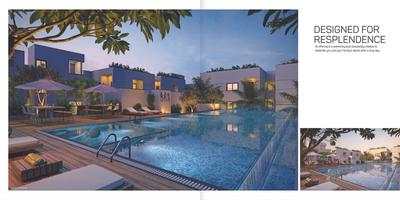 Alpine GMR Springfields Brochure 10