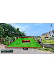 Robinson Infinity Plot Brochure 2