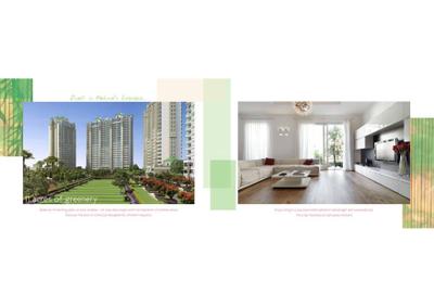 ATS Pristine Brochure 5