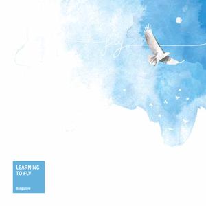 Total Environment Learning To Fly Brochure 1