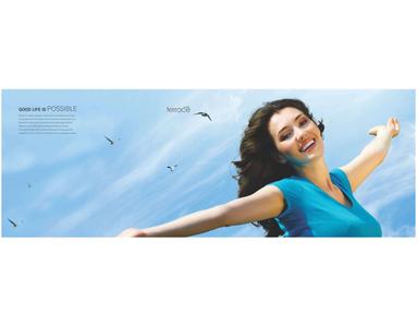 Beacon Terrace Brochure 2