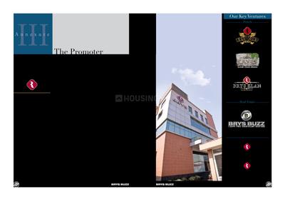 Brys Buzz Brochure 32