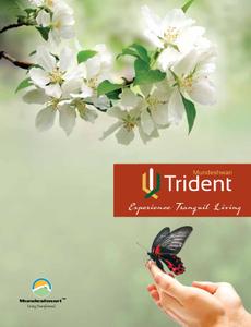 Image of 1061 Sq.ft 3 BHK Apartment / Flat for sale in Mundeshwari Trident, Jamsaut, Patna for Rs. 9400000