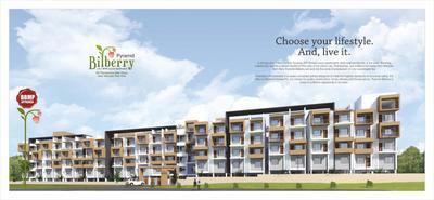 Pyramid Bilberry Brochure 3