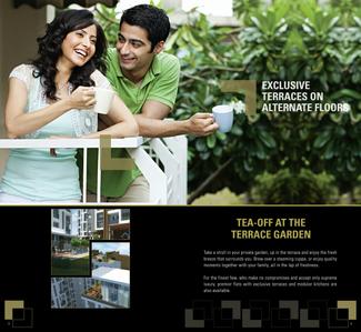 Expression Exotica Brochure 8
